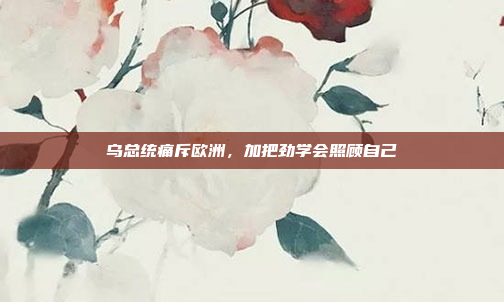 乌总统痛斥欧洲，加把劲学会照顾自己