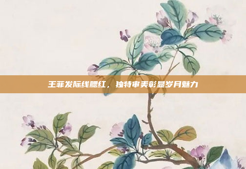 王菲发际线腮红，独特审美彰显岁月魅力