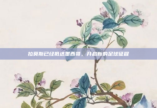 拉莫斯已经抵达墨西哥，开启新的足球征程