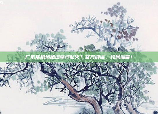 广东某机场跑道草坪起火？官方辟谣，纯属谣言！