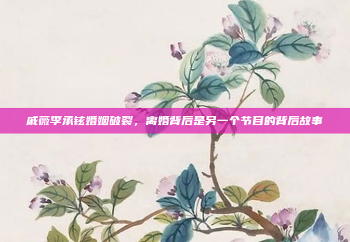 戚薇李承铉婚姻破裂，离婚背后是另一个节目的背后故事