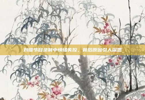 刘维节目录制中情绪失控，背后原因引人深思