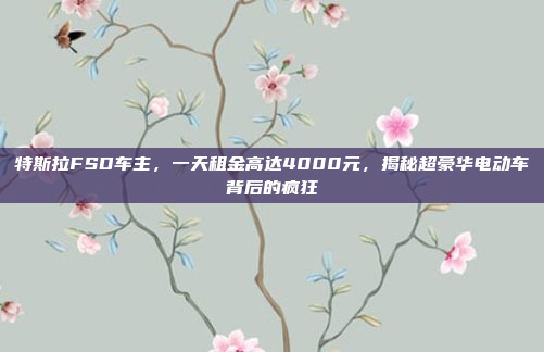 特斯拉FSD车主，一天租金高达4000元，揭秘超豪华电动车背后的疯狂