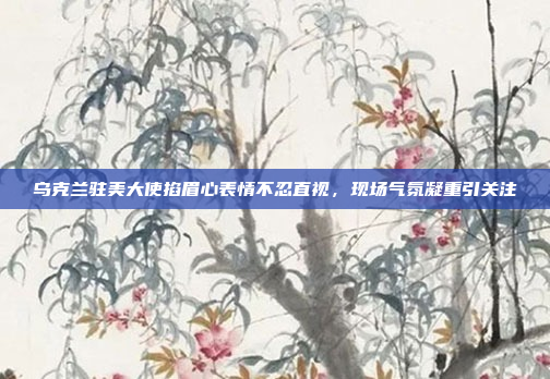 乌克兰驻美大使掐眉心表情不忍直视，现场气氛凝重引关注