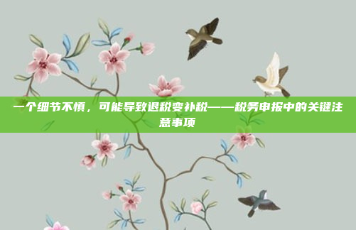 一个细节不慎，可能导致退税变补税——税务申报中的关键注意事项