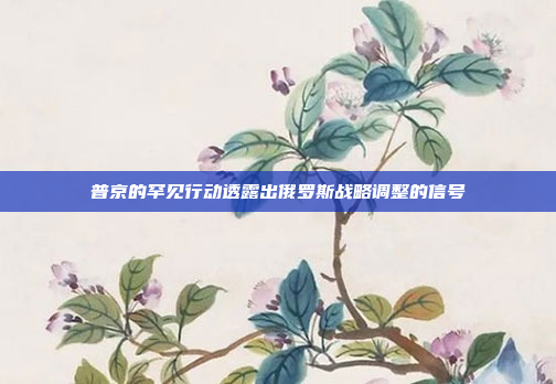 普京的罕见行动透露出俄罗斯战略调整的信号