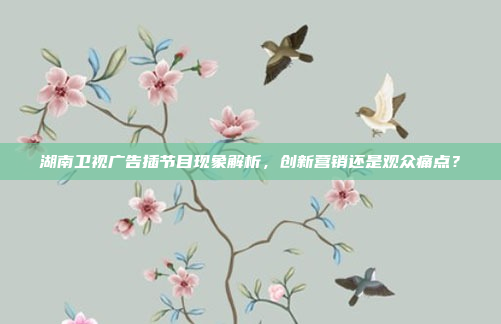 湖南卫视广告插节目现象解析，创新营销还是观众痛点？